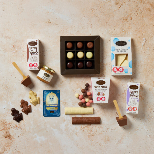 מבחר של הארי פוטר שוקולדים מוצג על משטח בעל מרקם, הכולל קופסאות שוקולד, חפיסות, ממרחים בצנצנות קטנות עם אריזות טקסט בעברית וחתיכות רפויות של צפרדעי שוקולד מפוזרות מסביב.