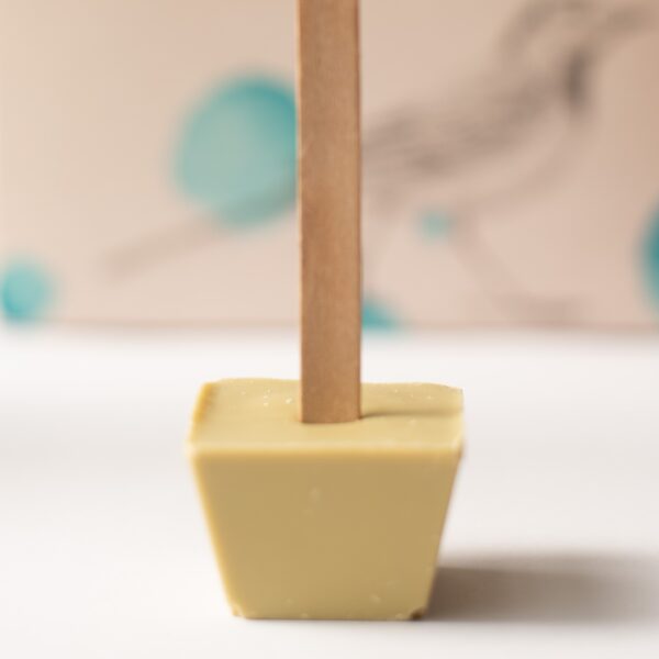 מקל עץ מוכנס לתוך קוביית שוקו לבן, עם רקע מטושטש של עיגולים כחולים וקווי מתאר של ציפור, ויוצרים הצגה אמנותית של שוקו על מקל.