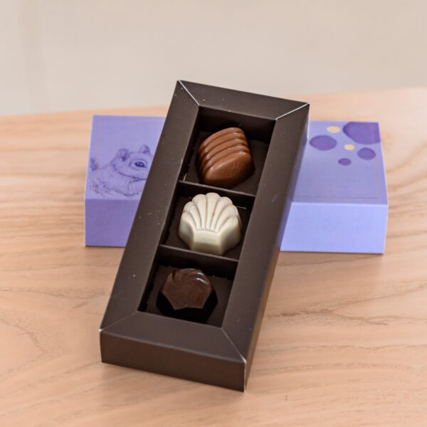 קופסה מלבנית של שלישיית פרלינים ובה שלושה שוקולדים שונים בצורות וצבעים ייחודיים מונחת על משטח עץ. המכסה הסגול שמתחת, המעוטר באיור של חיות ונקודות, נראה חלקית.