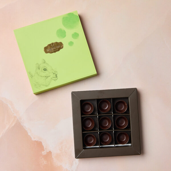 תיבה ירוקה עם הכיתוב IMG_2066 ועליה איור של סנאי מונחת ליד מגש פתוח עם תשע כוסיות שוקולד עגולות על משטח שיש ורוד.